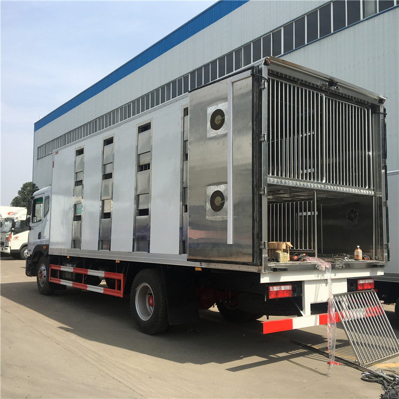 東風(fēng)D9駕駛室6米畜禽運輸車